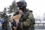 Russian's Avatar