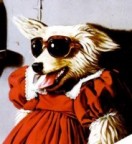 Bakunin's Avatar