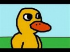 DuckyonQuack's Avatar