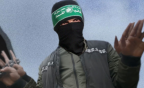 Alawny's Avatar